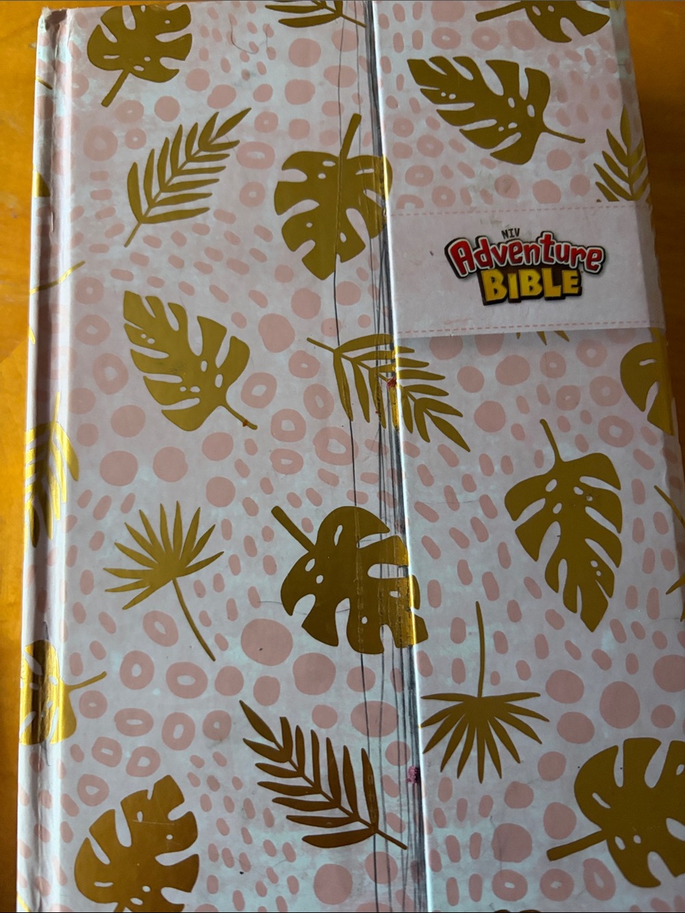Adventure Bible Kids Cover in Pink and Gold Leaf Design